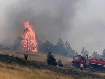 Zlatibor požar