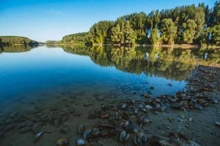 Gornje Podunavlje , Danube,  by Luka Šarac copy.jpg