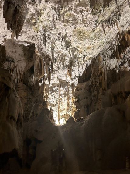 Postojnska jama u Sloveniji (3).jpg