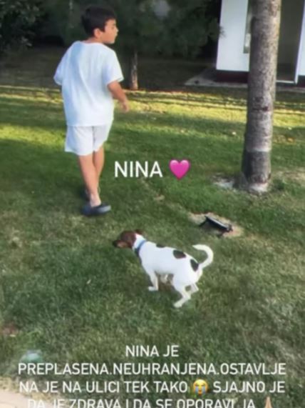 Sin Seke Aleksić i pas Nina