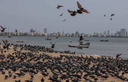 Chowpatty.jpg