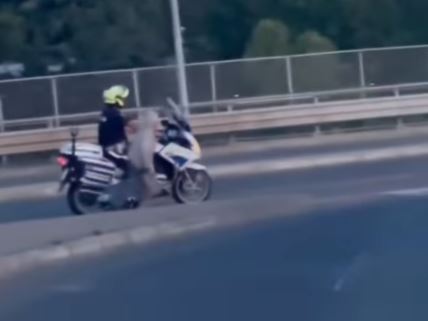 policajac na motoru prevodi staricu preko mosta na Adi