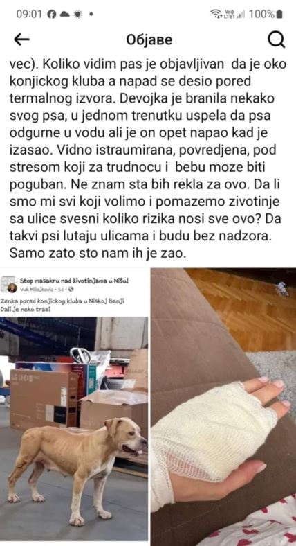 Fejsbuk objava u grupi