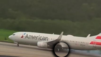 American airlines guma.jpg