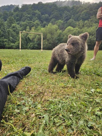 Mile spasio meče iz duboke jame (2).jpg