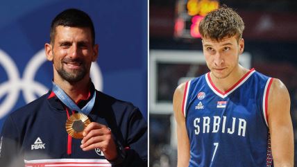 Novak ,Bogdan Bogdanović