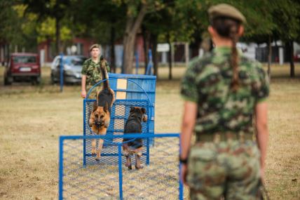 vojni_psi_vojska_srbije_stefan_stojanović-1 (4).jpg