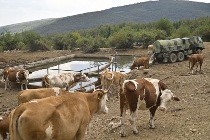 VOJSKA SRBIJE POMAŽE U NAPAJANJU STOKE NA SUVOJ PLANINI-4.jpg