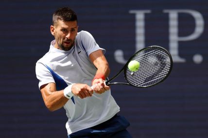 novak đoković us open.jpg