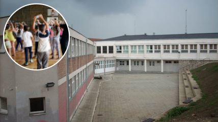 os Ljuba Nenadovic, skola , Zarkovo