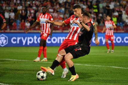 Benfika Crvena zvezda gol