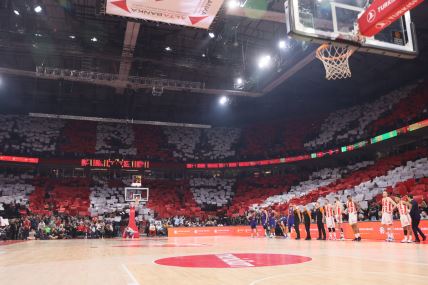 Navijači Crvene zvezde u Areni