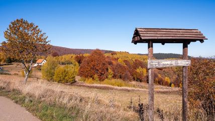 Planina Golija (8).jpg