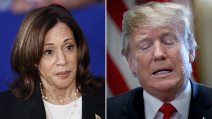 Kamala Donald Tramp