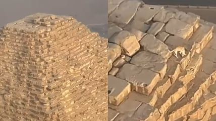 Neobična pojava na vrhu piramide, pas se popeo do vrha