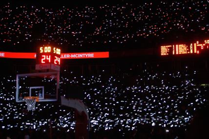 Delije Beogradska arena