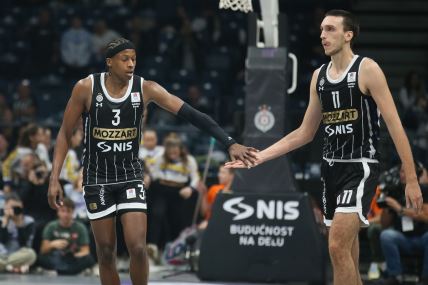 Partizan - Krka uživo, live stream, arena sport 1 