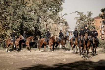 policijska_brigada_četa_konjanika_stefan_stojanović_18.jpg