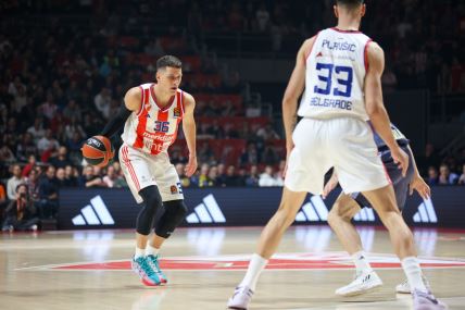 KK Crvena zvezda vs KK Alba Berlin (10).jpg