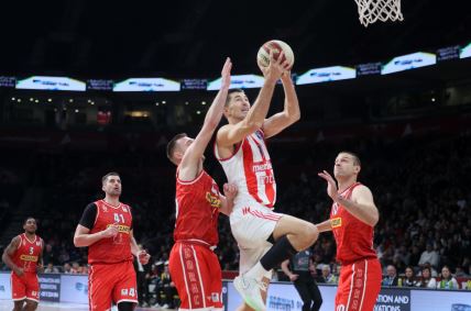 CRVENA_ZVEZDA_vs_BORAC_15.jpg