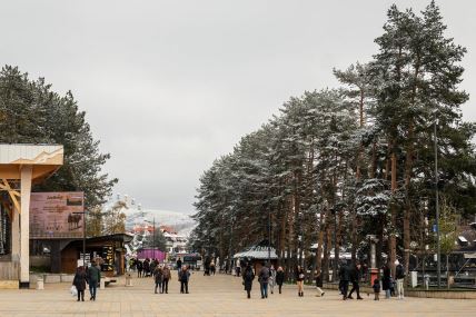 zlatibor_planina_zimovanje_stefan_stojanović__ (1).jpg