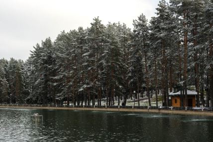 zlatibor_planina_zimovanje_stefan_stojanović__ (5).jpg