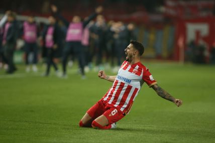 Crvena Zvezda - Štutgart (18).JPG