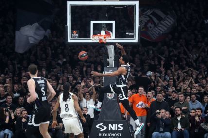 Asvel PARTIZAN (5).JPG