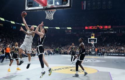 Asvel PARTIZAN (7).JPG