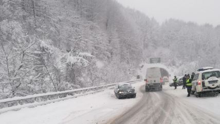 sneg-kolaps-zlatibor-fotorina23.jpg