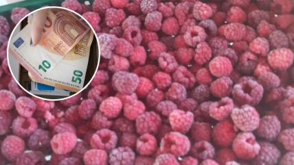 Maline, cena malina