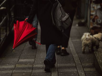 kiša_bara_pešaci_stefan_stojanović_ (3).jpg