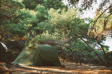 camping-in-the-forest-2021-08-30-10-56-37-utc copy.jpg