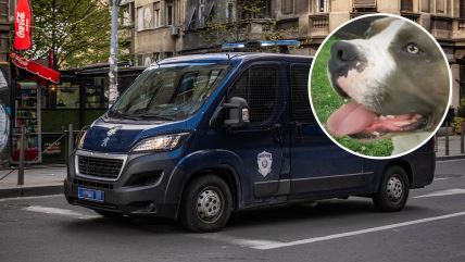 Staford policija