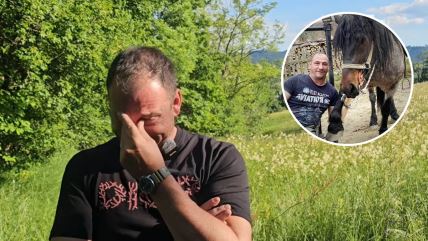 ubistvo konja na zlatiboru (2).jpg