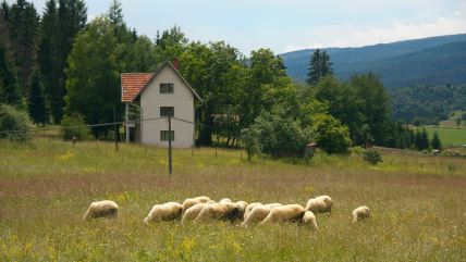 Rudno Kraljevo