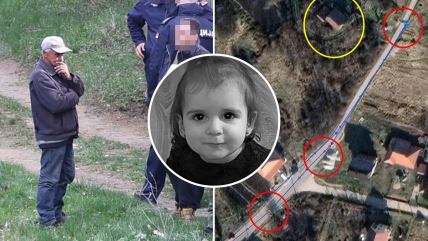 rekonstrukcija nestanka Danke Ilić