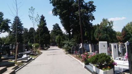 Novo groblje
