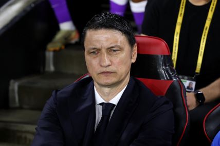 Srpski trener Vladimir Ivić
