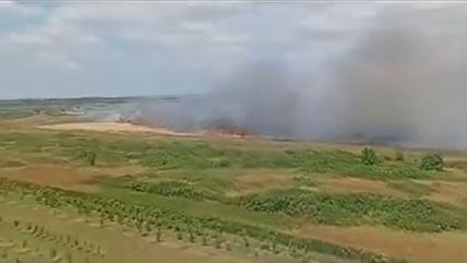 gore njive u Sečnju