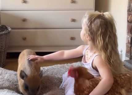 Majka zanemala zbog scene na TVu, otkrivena sličnost