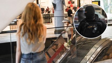 Big šoping centar, tržni centar, policija, UKP