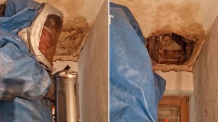 Leglo Stršljenova.jpg