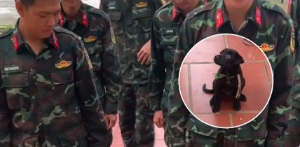 PAs izigrava vojnika