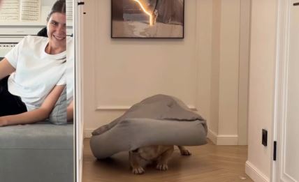 Snimak psa koji se skriva od gazdarice nasmejao internet