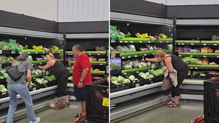 Kuca se krije u marketu među policama