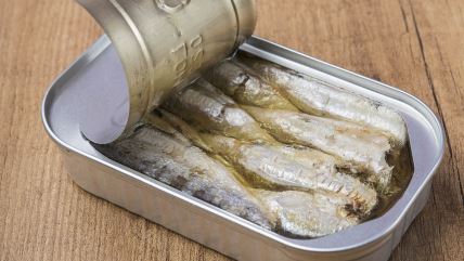 sardine.jpg