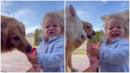  Devojčica dala vodu psima, nećete verovati šta je jedna kuca uradila