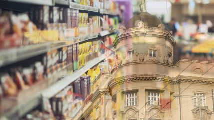 prodavnica cene vlada srbije