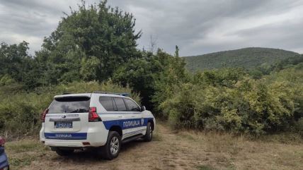 Ubistvo kod Svrljiga (8).jpg